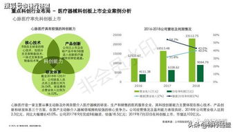2019科創(chuàng)獨(dú)角獸研究報(bào)告 信息技術(shù)咨詢服務(wù)