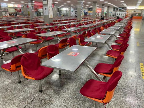 一份食堂泡芙秘方引發(fā)的走紅